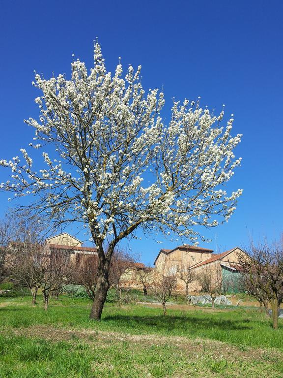 La Casa Blu Villa Calliano  Buitenkant foto